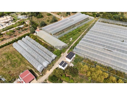Quinta agrícola com estufas