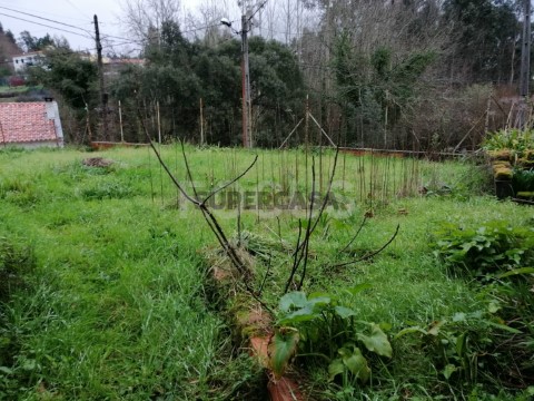 Terreno para venda Travassô