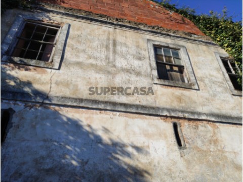 Quinta agrícola com moradia para venda a 5 minutos de Albergaria - a -Velha