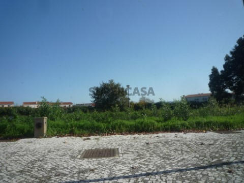 Lote de terreno em Albergaria-a-Velha