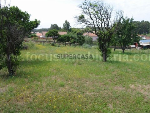 Quinta com casa antiga Azurva