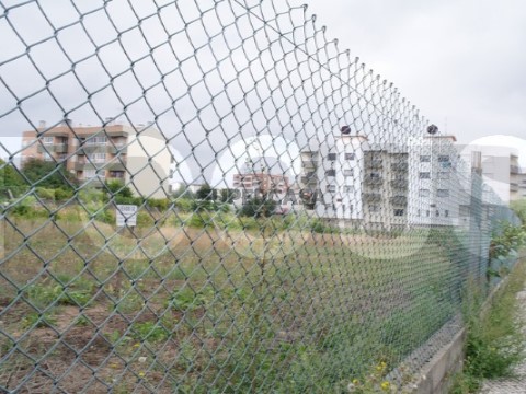 Lotes de terreno para venda em Albergaria a Velha