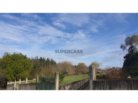 Terreno para construção de moradia - 10 minutos de Albergaria-a-Velha