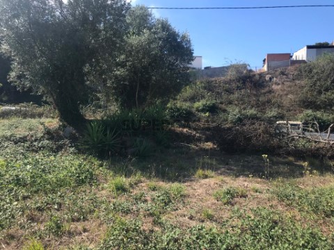 Terreno para construção em altura - Angeja - centro