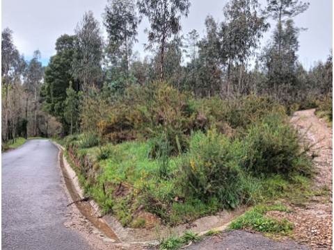 Terreno - Rota dos Moinhos - Angeja