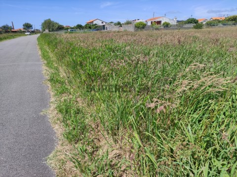 Terreno com vistas Ria - Gafanha da Encarnação