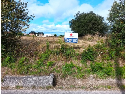 Terreno Rustico / Agrícola - Cacia - Para Investimento