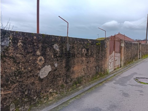 Terreno para Venda - Albergaria -a - Velha / Branca