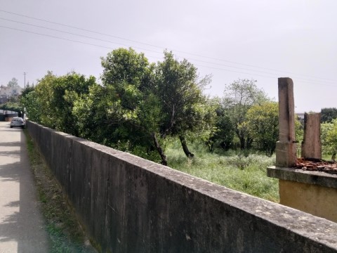 Terreno com 30m de frente - Valmaior