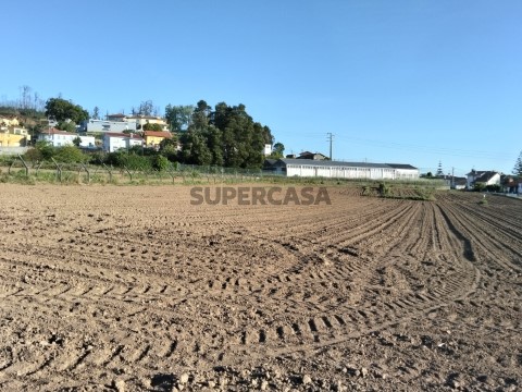 Terreno urbanizável com 19 m de frente- Branca / Albergaria-a-Velha