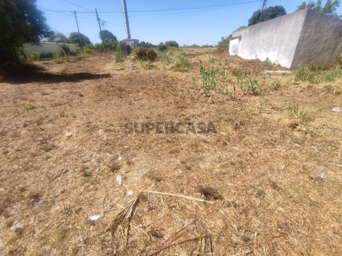 Terreno em Esgueira - Mataduços