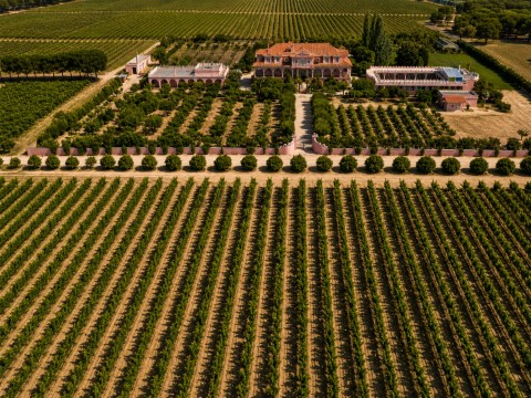 Herdade Vitivinícola com 102 Hectares | Adega Equipada | Potencial para Enoturismo | Palmela 1