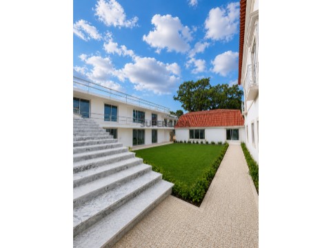 ChatGPT Image 8_07_2026, 10_48_27