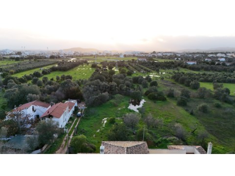 Quinta para venda em Salir Algarve