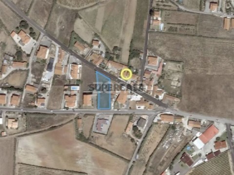 Planta