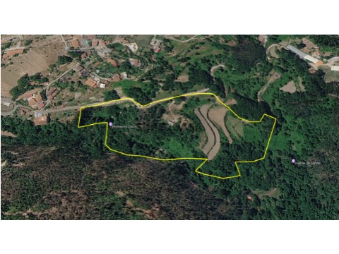 AEREA 3