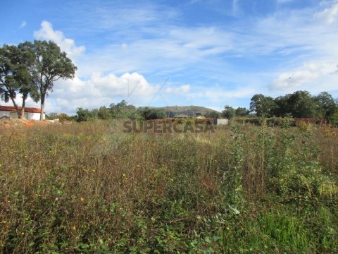 Terreno