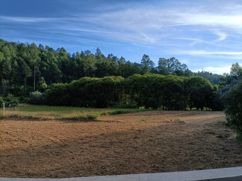 Terreno
