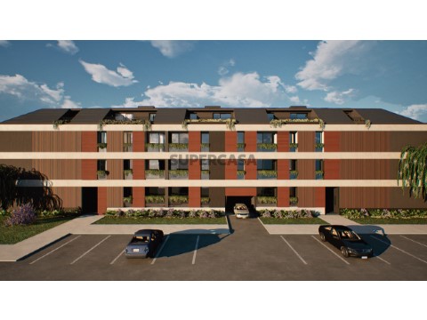Externa alta 1
