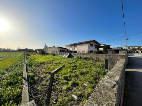 Terreno no Ribeiro - Murtosa