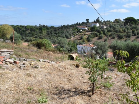 P04682-000-0-005