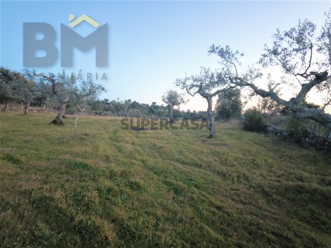 DJI_0396