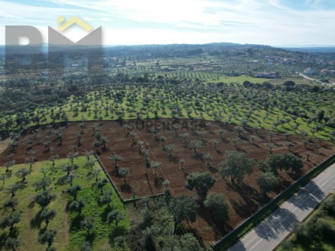 DJI_0934
