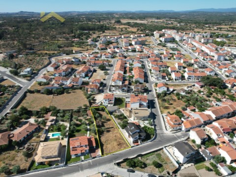 DJI_0224
