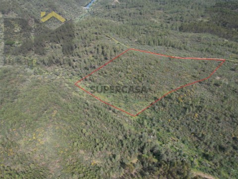 DJI_0188