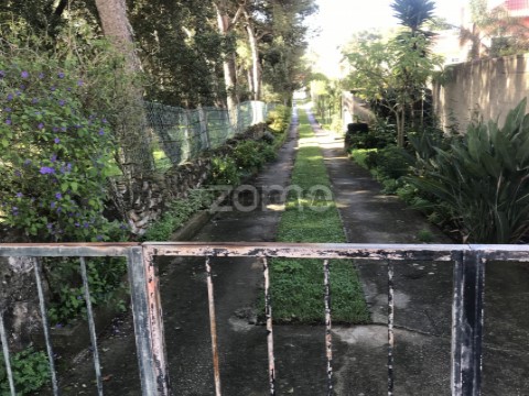 Entrada