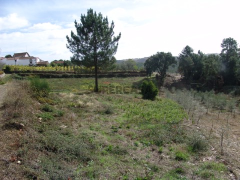 Terreno
