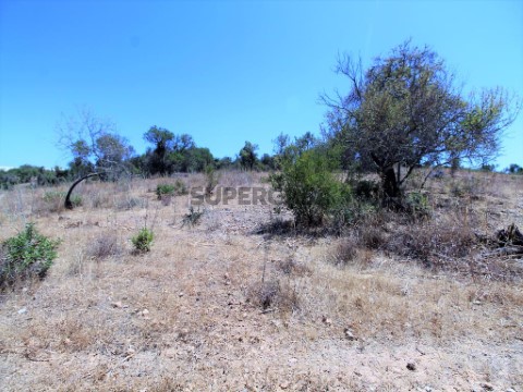 Terreno misto para venda - Baiãs Albufeira (8)