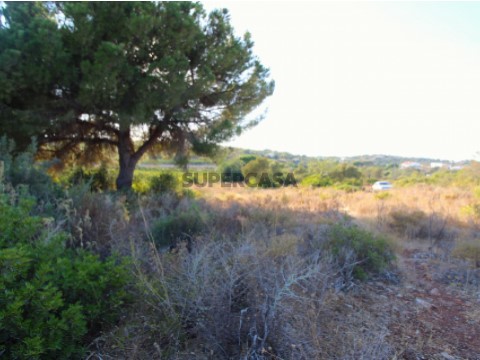 Terreno com ruína - Pinhal - Albufeira (6)