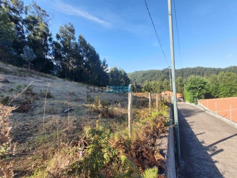 Terreno em Camacha, Santa Cruz