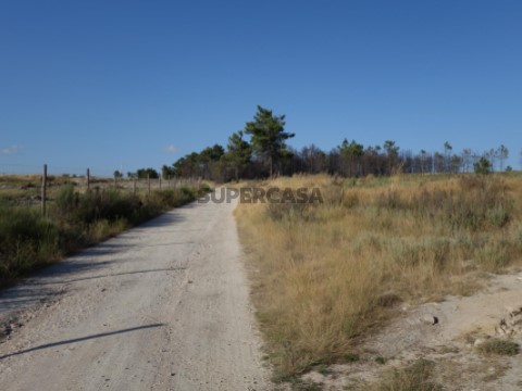 Terreno em Alijó, Alijó
