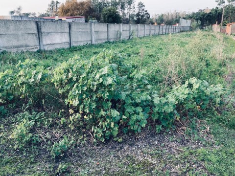 Terreno para construção 2 moradias