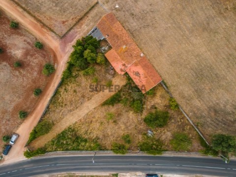 1. primeira