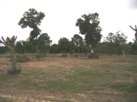 Terreno em Branca, Coruche