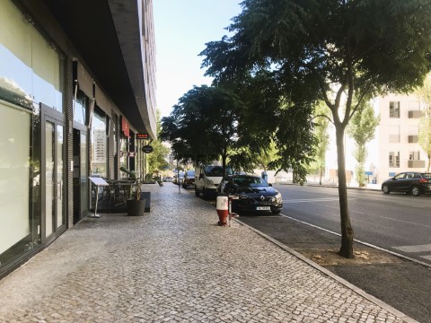 R. J. Freitas Branco