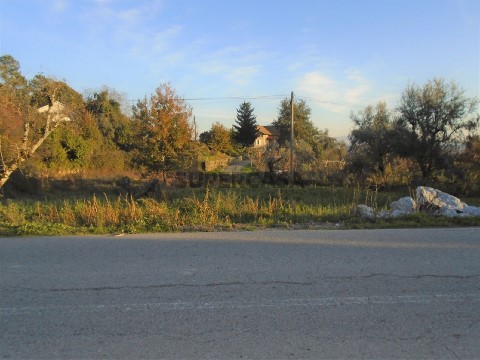 Terreno em Rio de Loba, Viseu