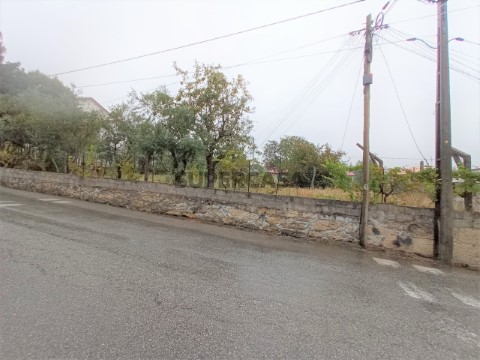 Terreno em Rio de Loba, Viseu