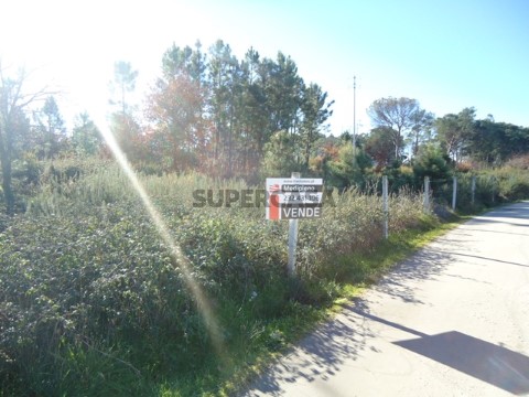 Terreno em Silgueiros, Viseu
