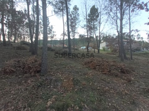 Terreno em Santos Evos, Viseu