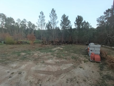 Terreno em Santos Evos, Viseu