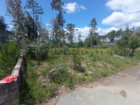 Terreno em Bodiosa, Viseu
