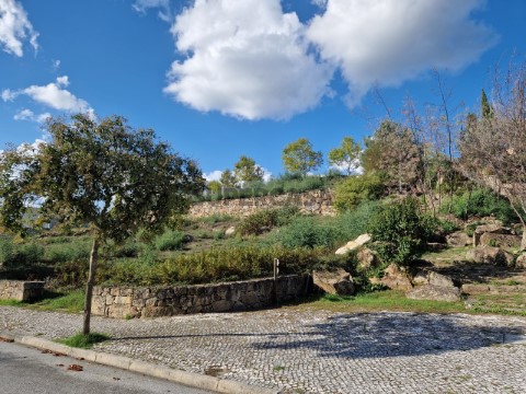 Lote em Mundão, Viseu