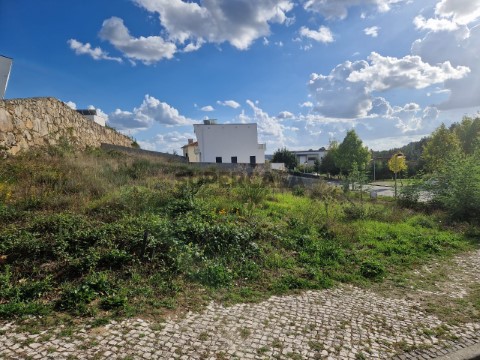 Lote em Mundão, Viseu