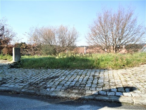 Lote em Mundão, Viseu