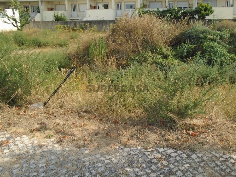 Lote em Viseu, Viseu