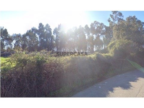 terreno 3